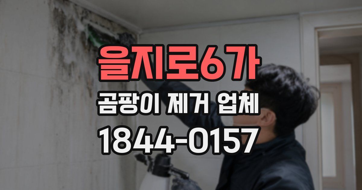 을지로6가 곰팡이 제거 업체