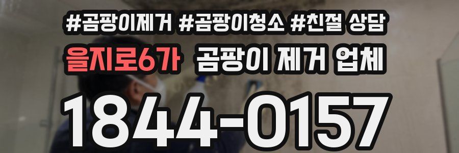 을지로6가 곰팡이 제거 업체