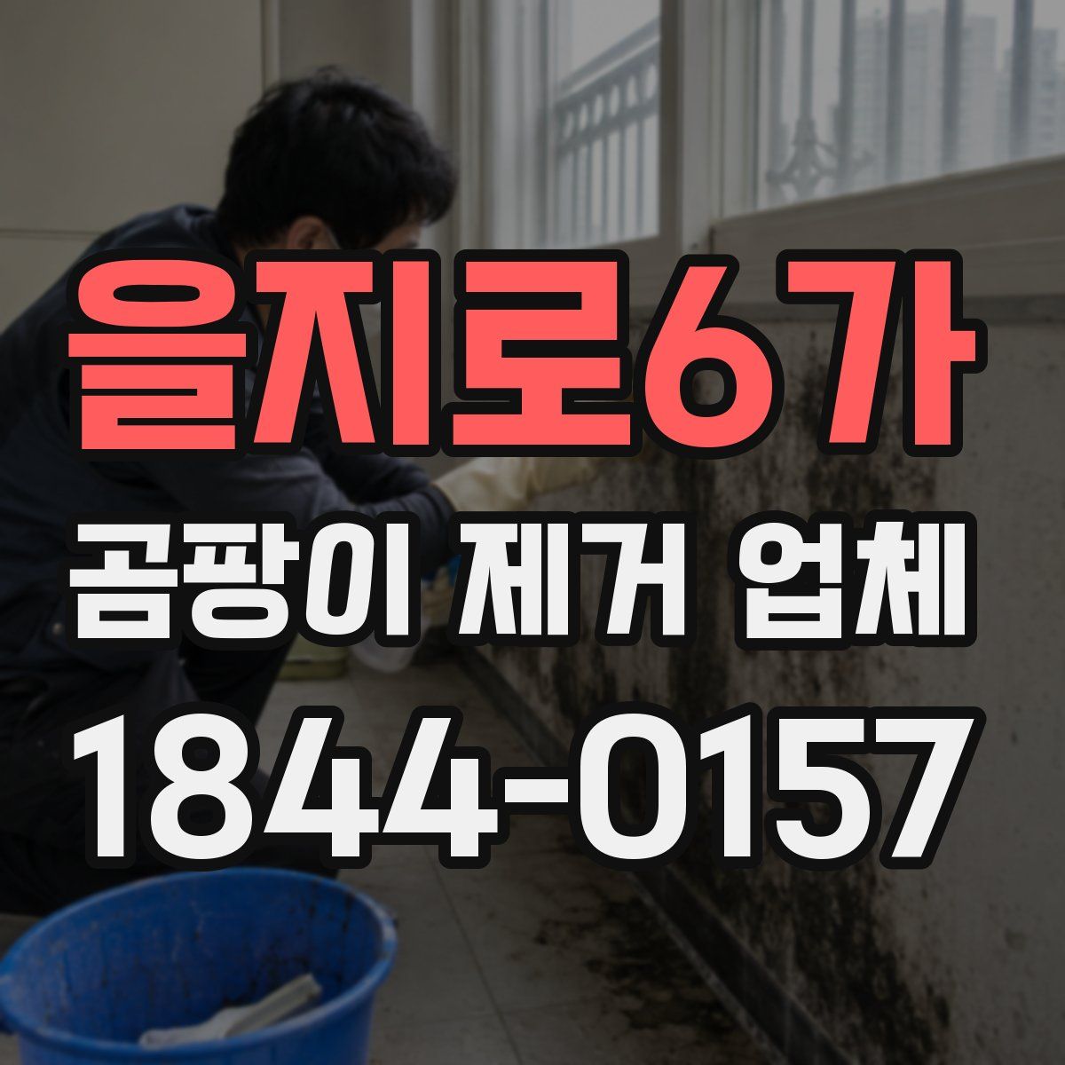 을지로6가 곰팡이 제거 업체