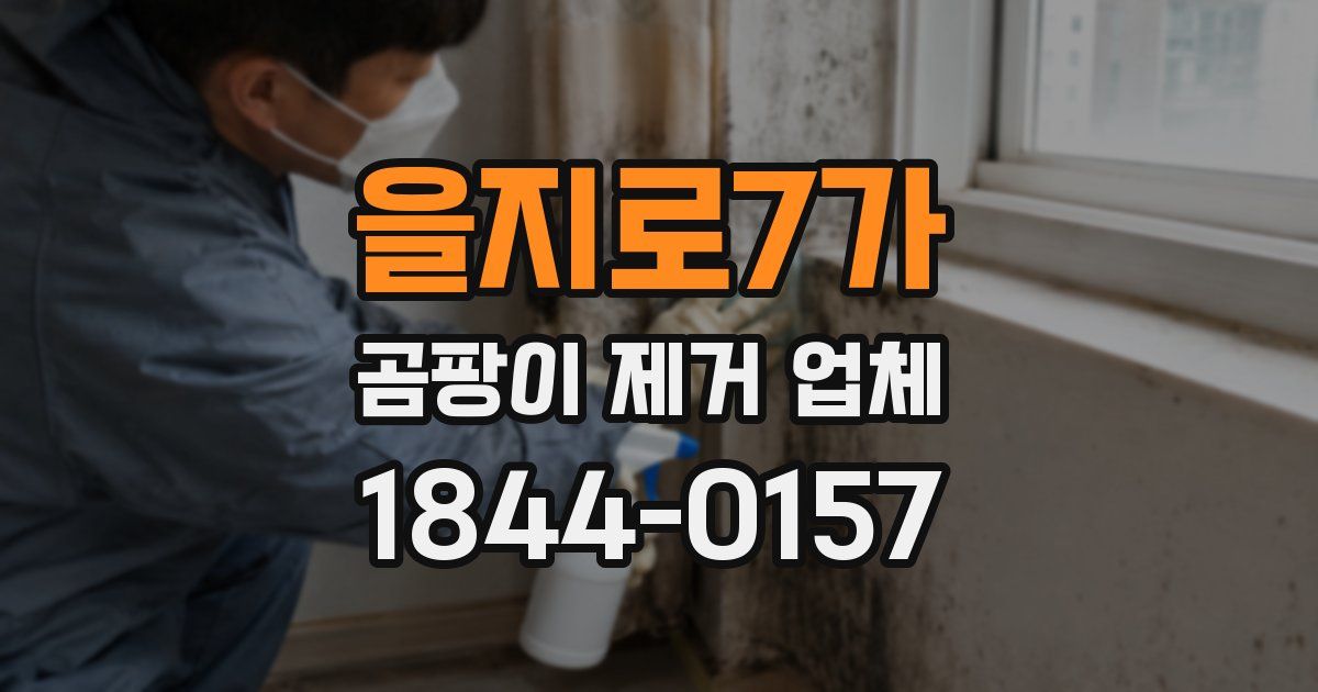 을지로7가 곰팡이 제거 업체