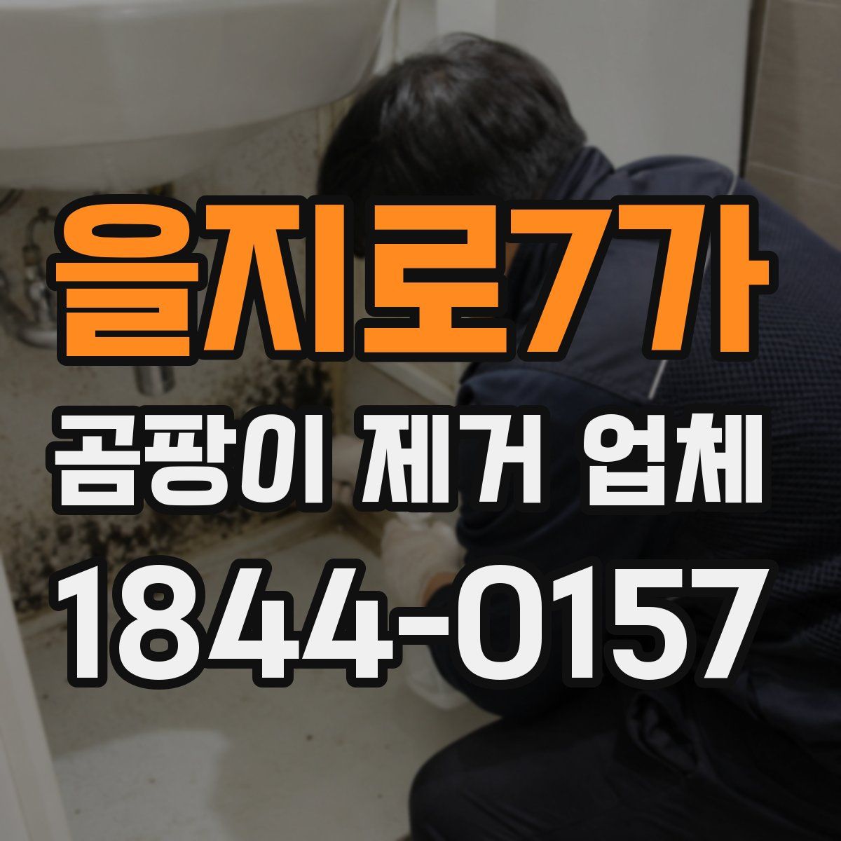 을지로7가 곰팡이 제거 업체