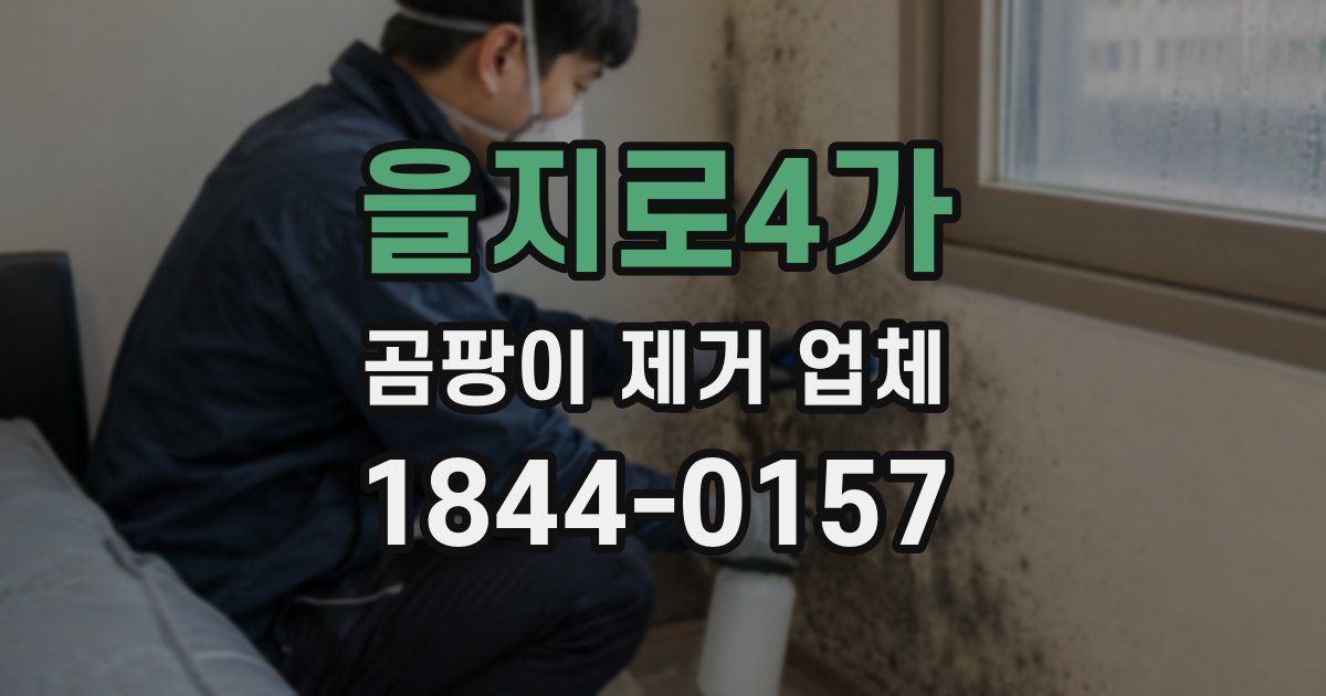 을지로4가 곰팡이 제거 업체