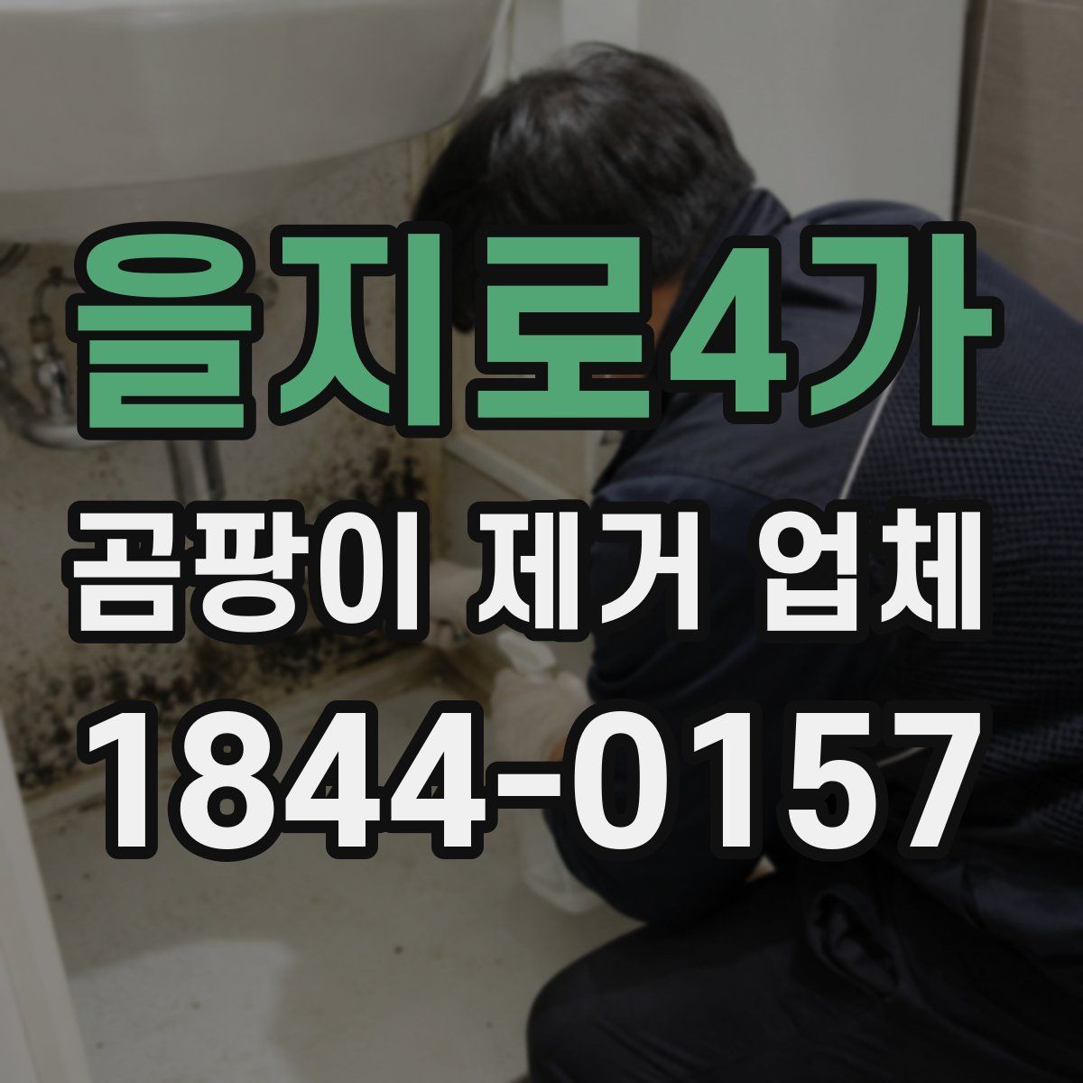 을지로4가 곰팡이 제거 업체