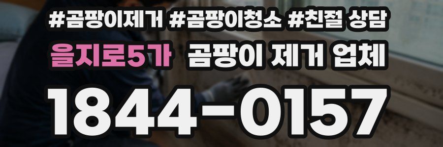 을지로5가 곰팡이 제거 업체