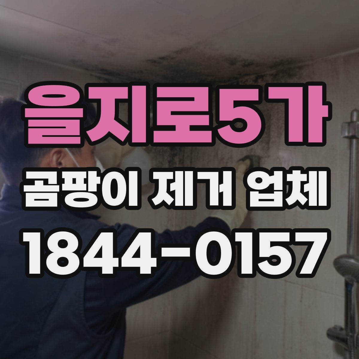 을지로5가 곰팡이 제거 업체