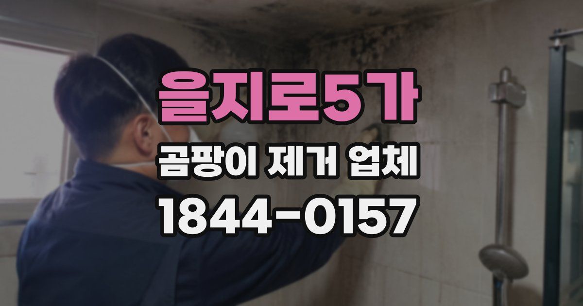 을지로5가 곰팡이 제거 업체
