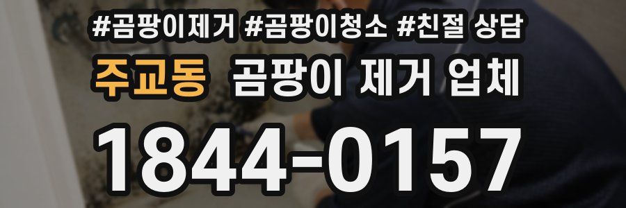 주교동 곰팡이 제거 업체