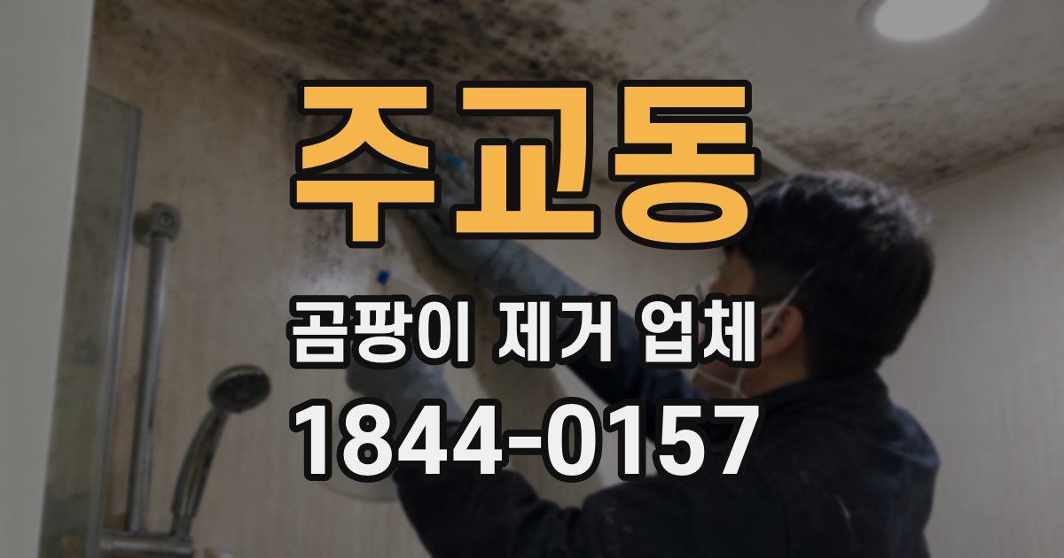 주교동 곰팡이 제거 업체