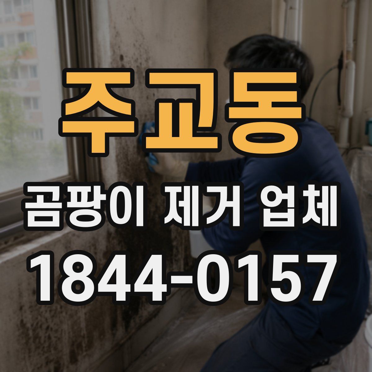 주교동 곰팡이 제거 업체