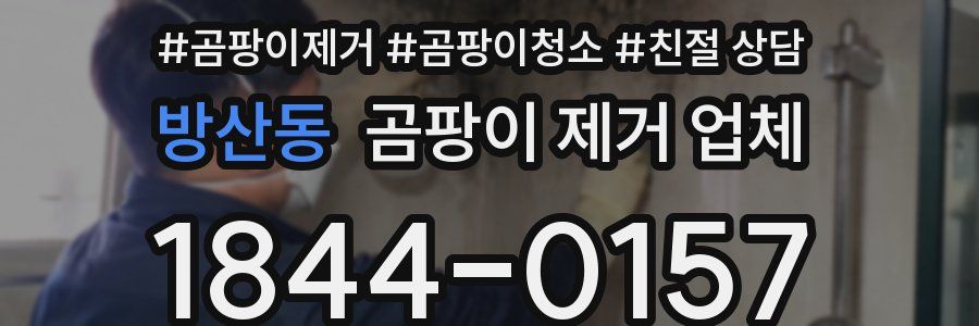 방산동 곰팡이 제거 업체