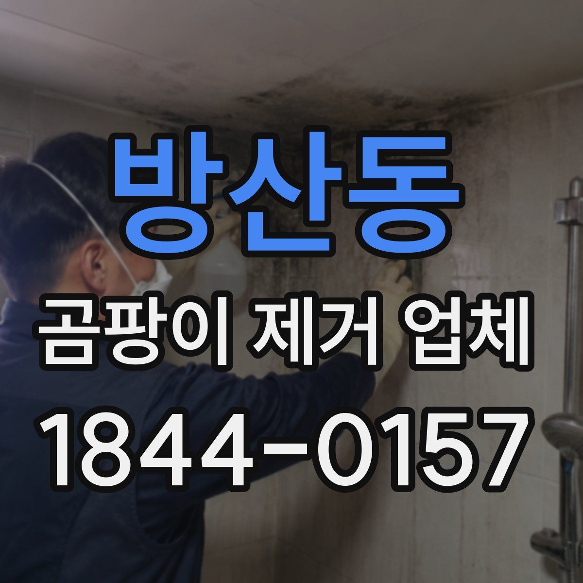 방산동 곰팡이 제거 업체