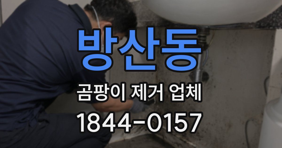 방산동 곰팡이 제거 업체