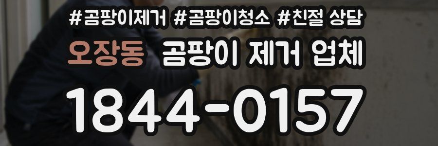 오장동 곰팡이 제거 업체
