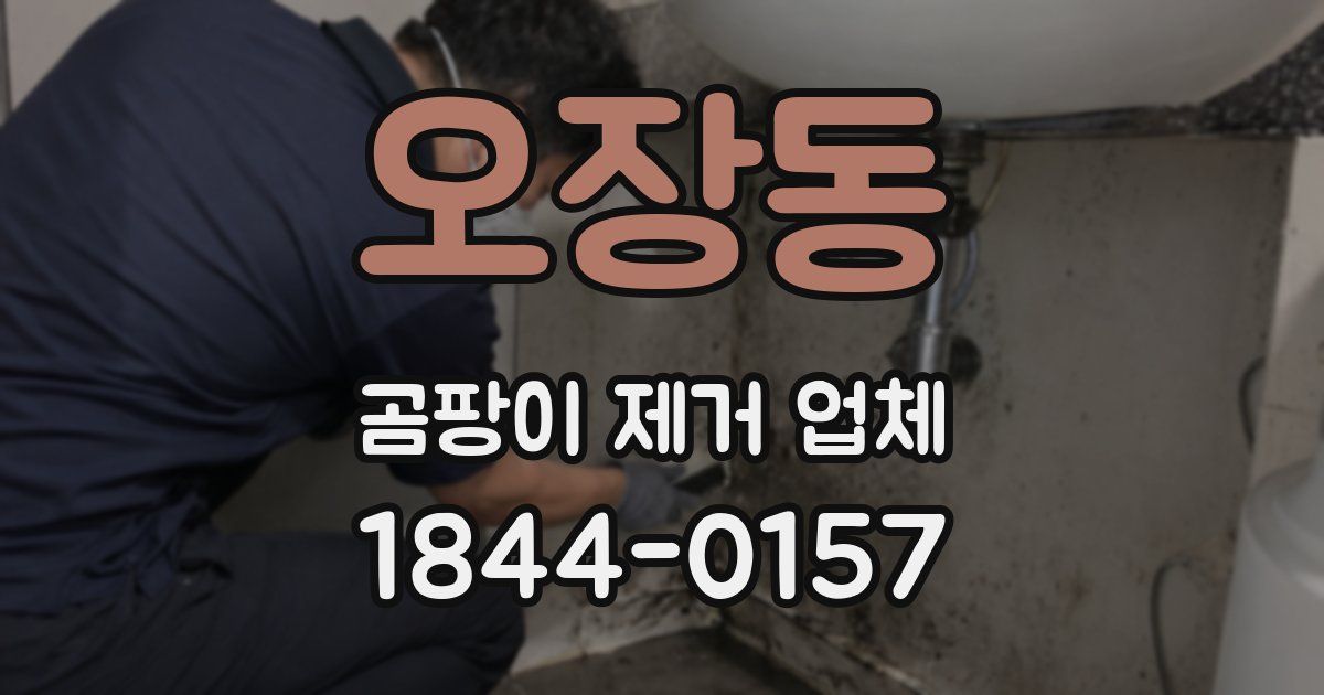 오장동 곰팡이 제거 업체