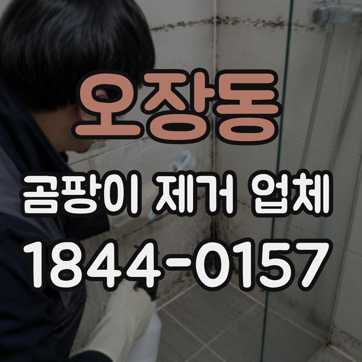 오장동 곰팡이 제거 업체