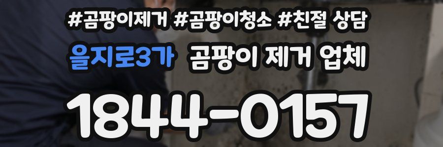 을지로3가 곰팡이 제거 업체