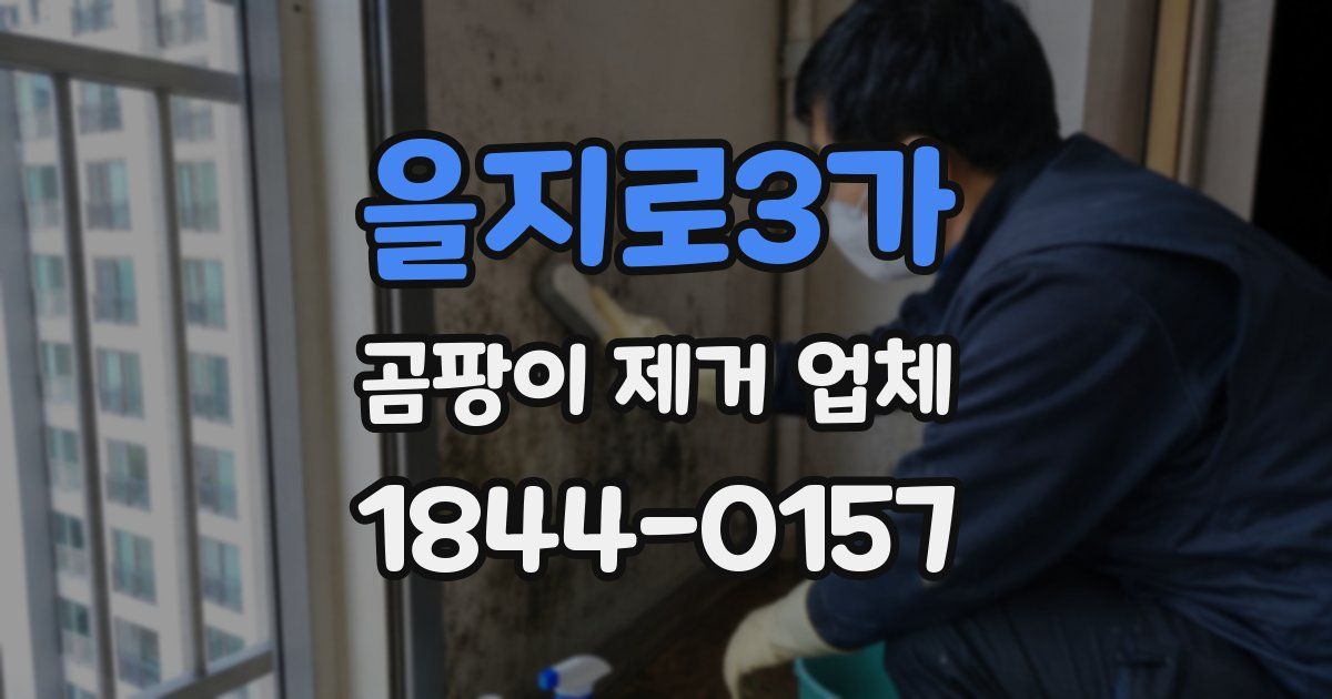 을지로3가 곰팡이 제거 업체