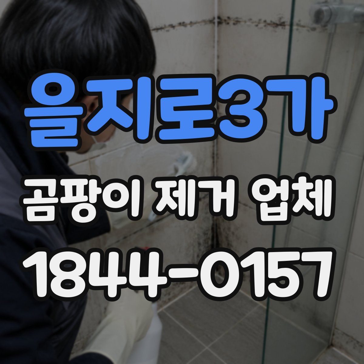 을지로3가 곰팡이 제거 업체