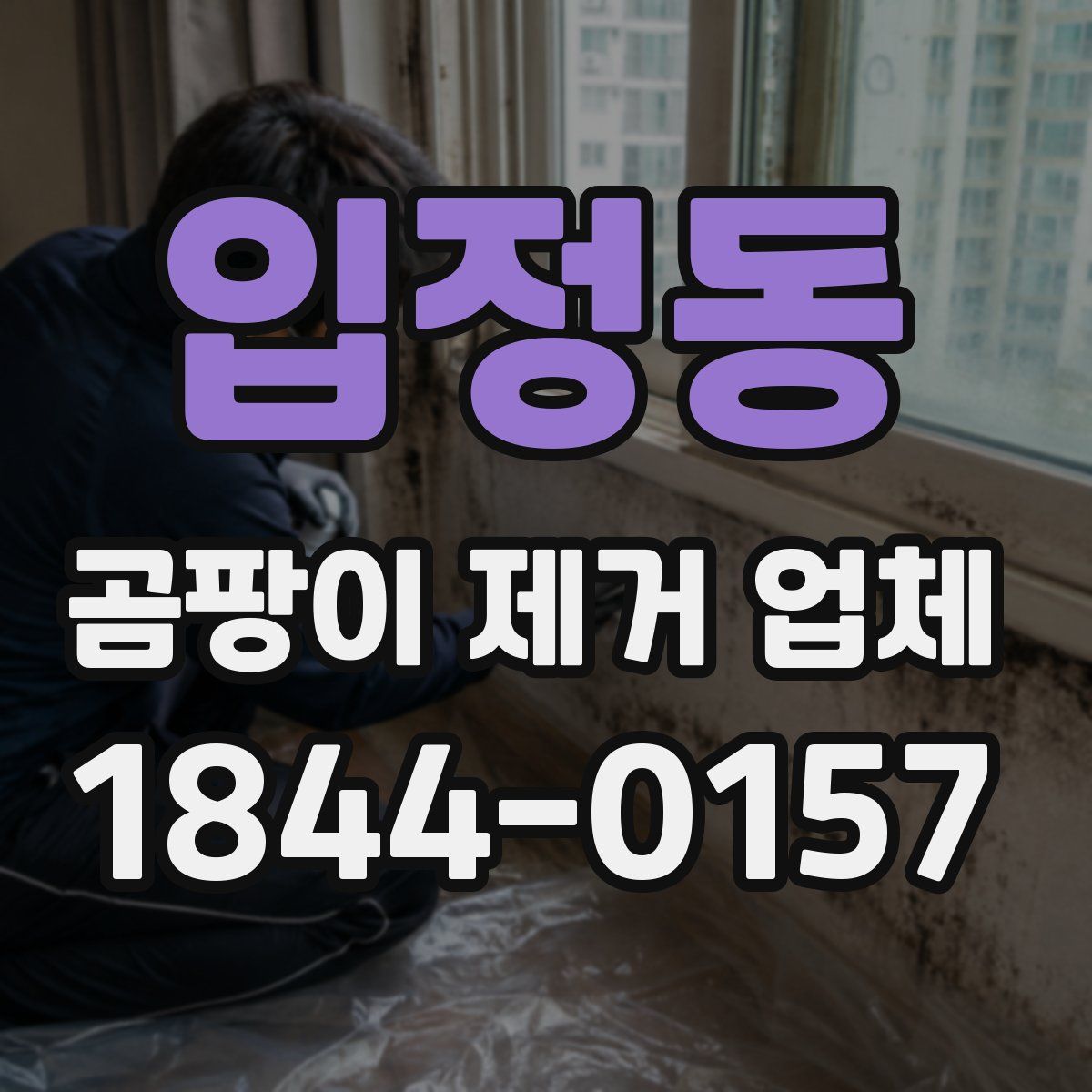 입정동 곰팡이 제거 업체