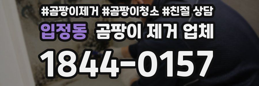 입정동 곰팡이 제거 업체