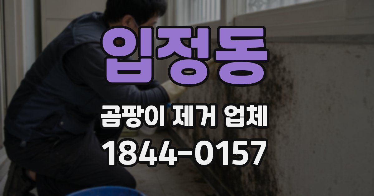 입정동 곰팡이 제거 업체