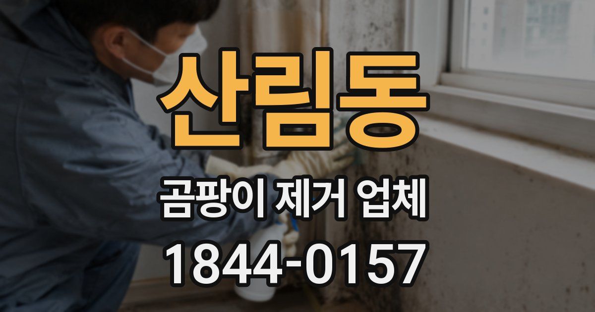 산림동 곰팡이 제거 업체