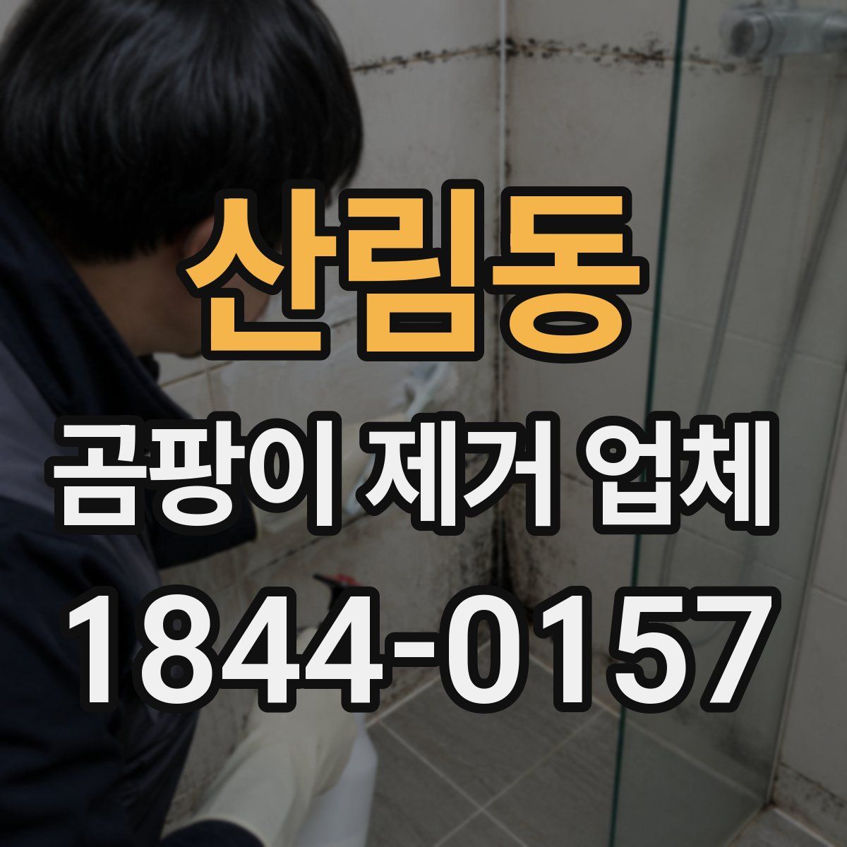 산림동 곰팡이 제거 업체