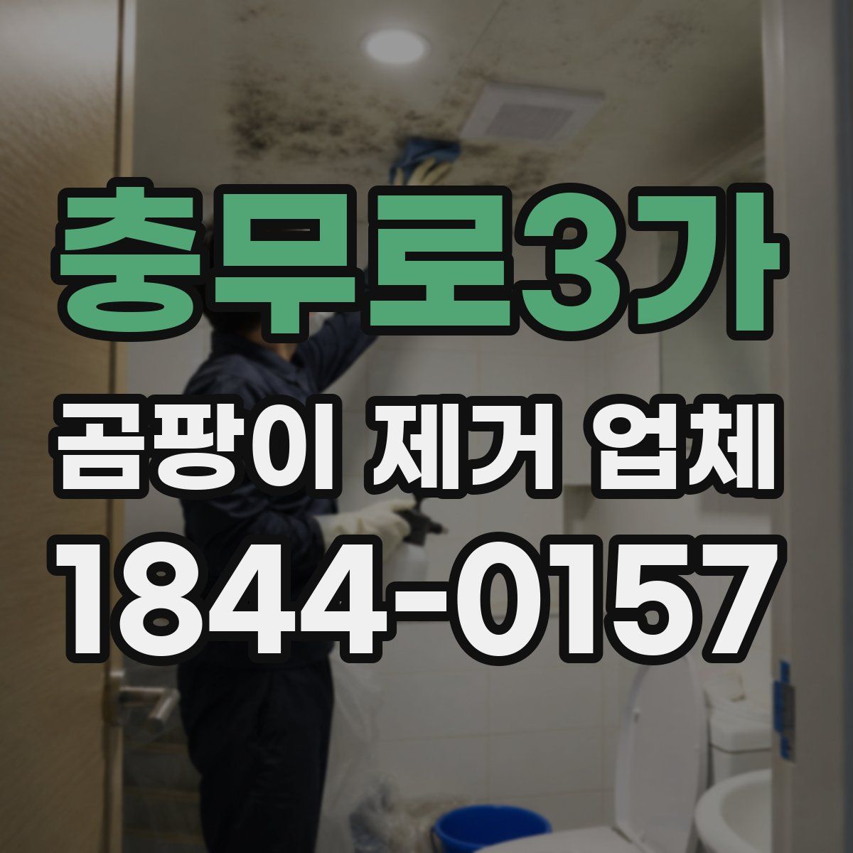 충무로3가 곰팡이 제거 업체