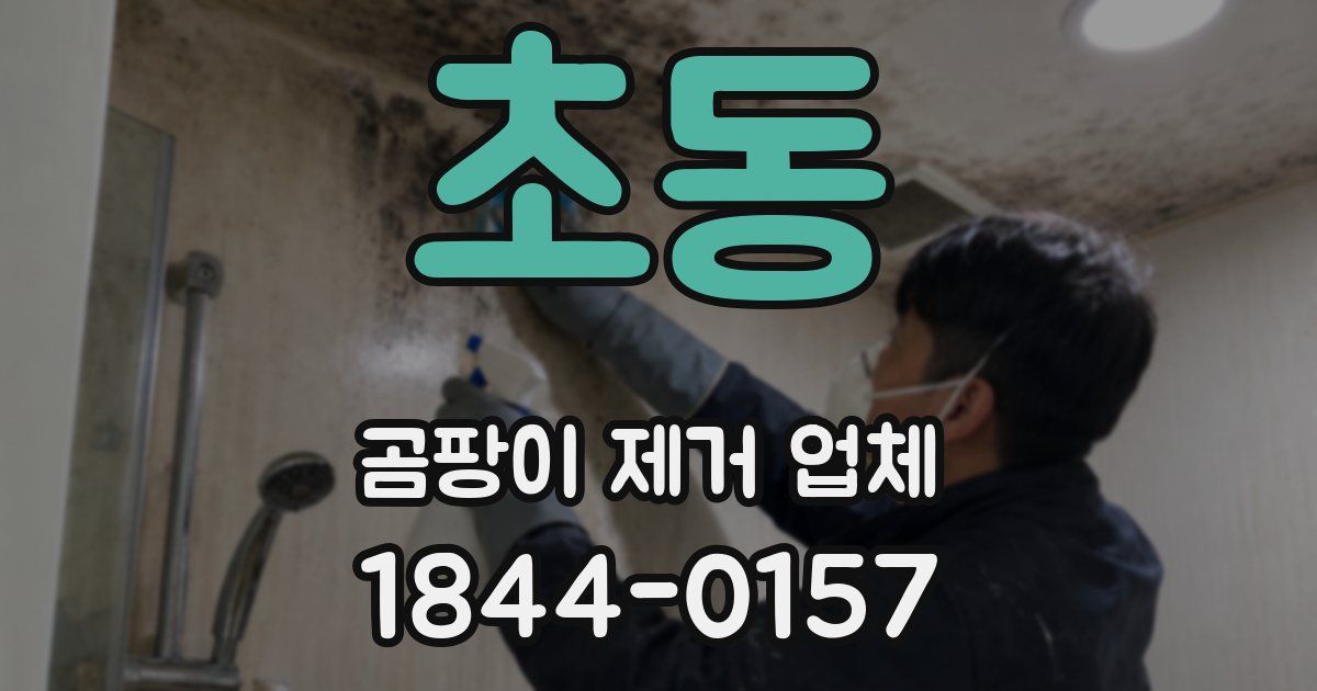 초동 곰팡이 제거 업체