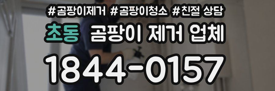 초동 곰팡이 제거 업체