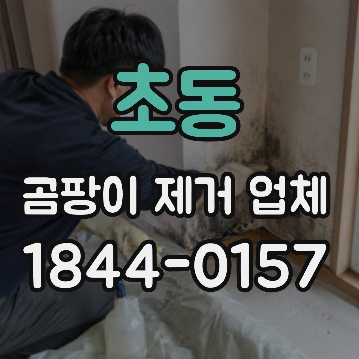 초동 곰팡이 제거 업체