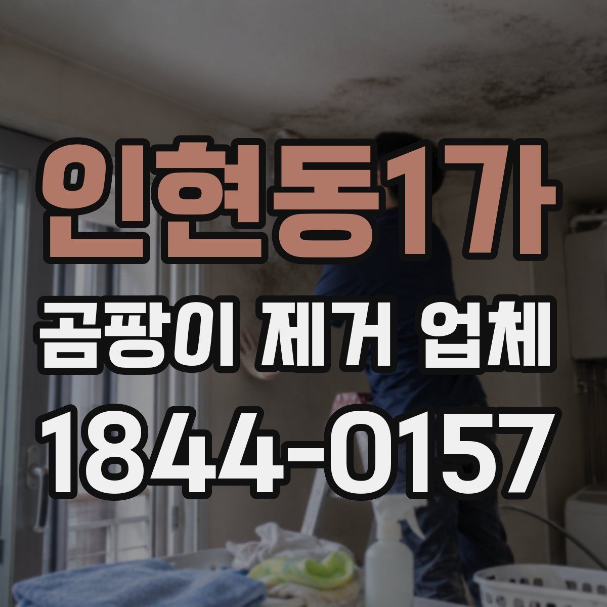 인현동1가 곰팡이 제거 업체