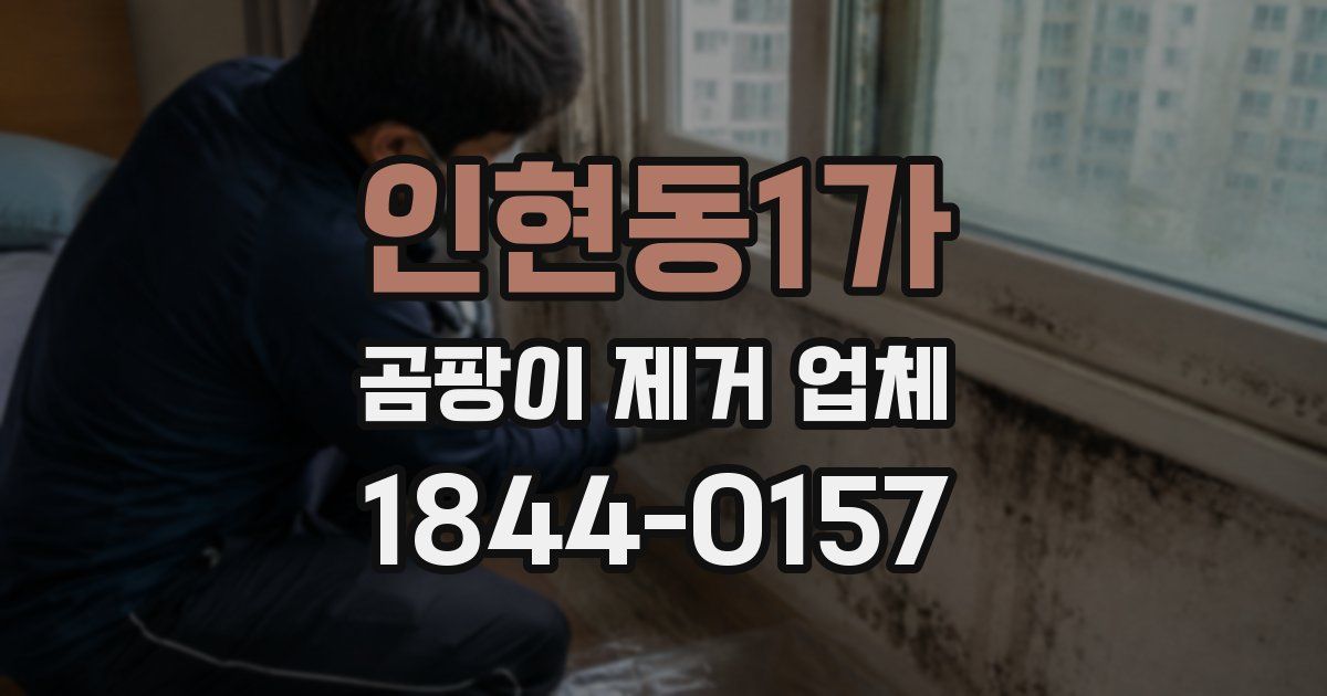 인현동1가 곰팡이 제거 업체