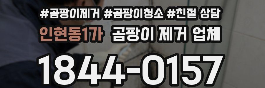 인현동1가 곰팡이 제거 업체