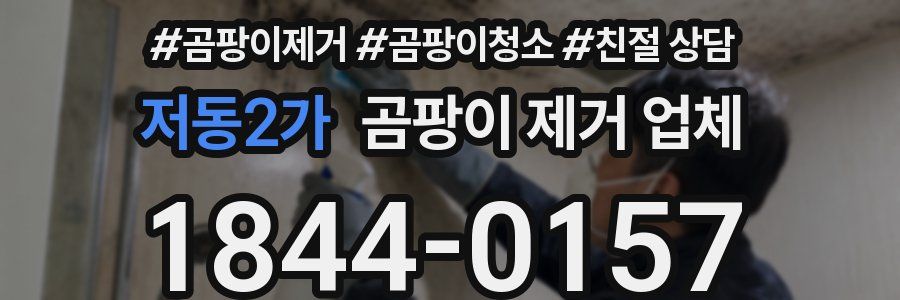저동2가 곰팡이 제거 업체
