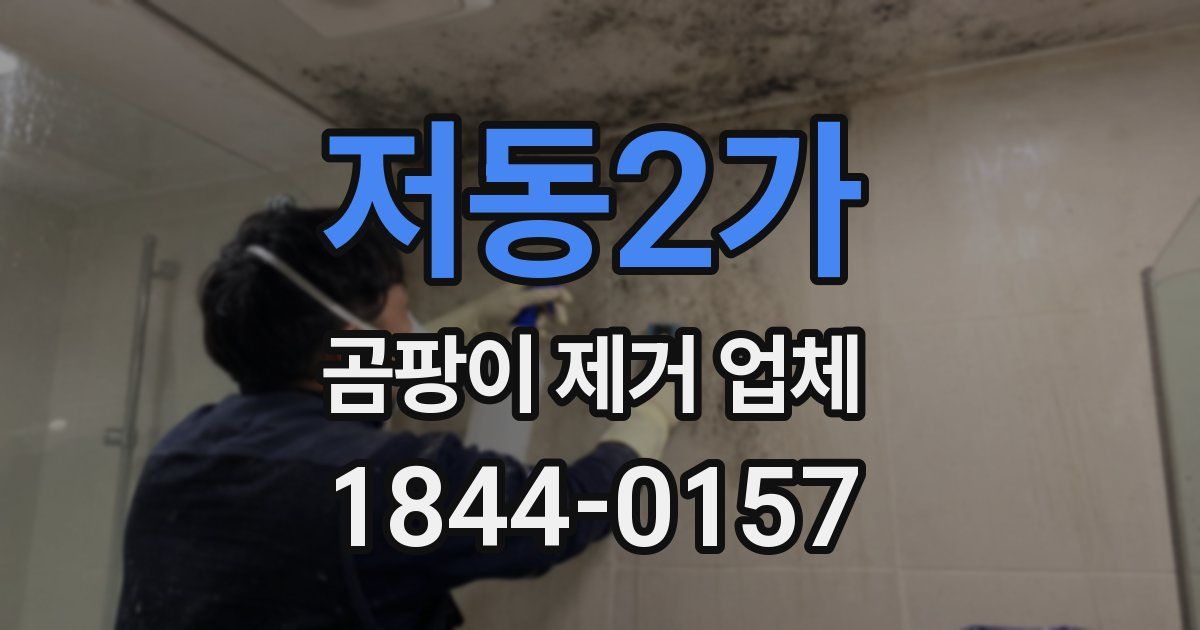 저동2가 곰팡이 제거 업체
