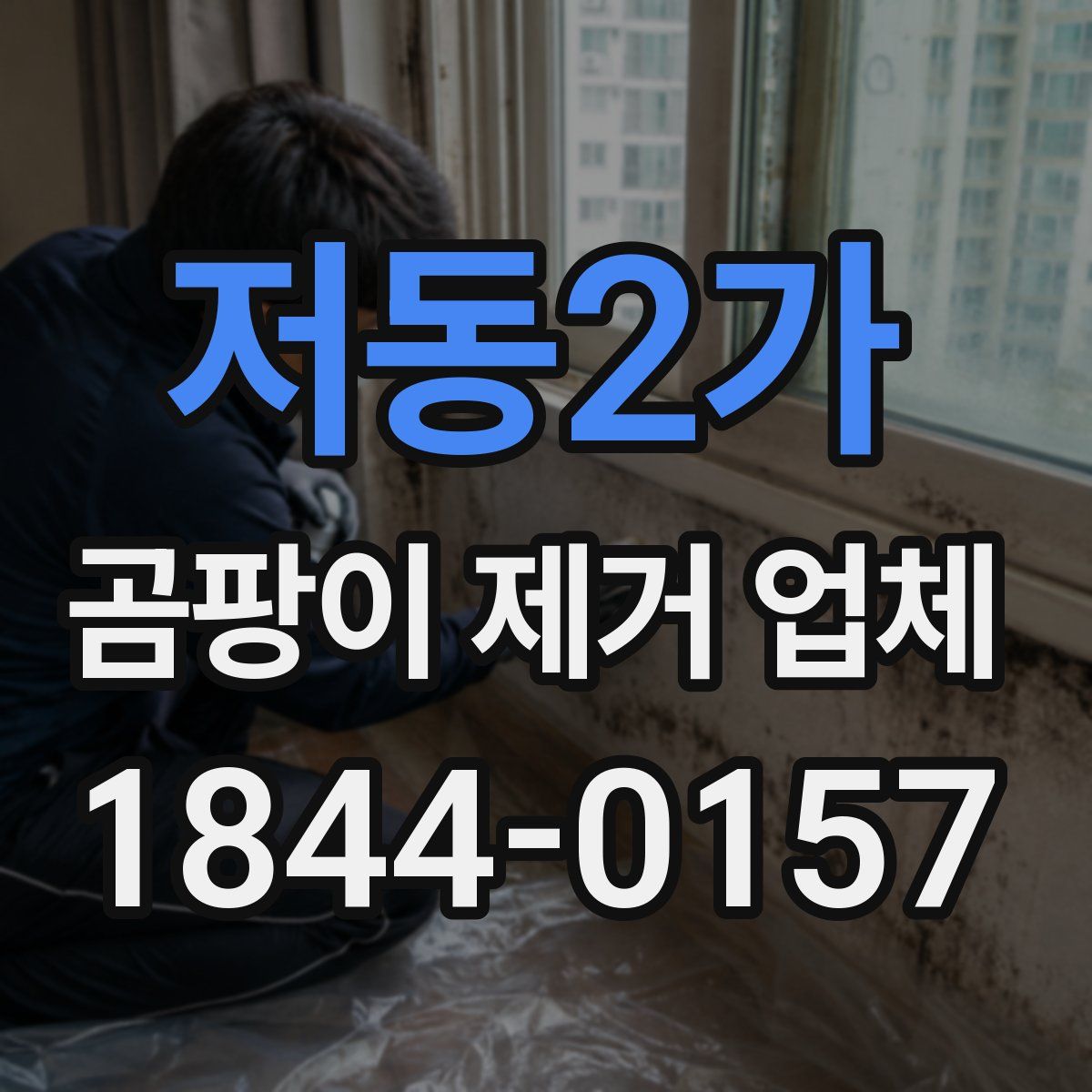 저동2가 곰팡이 제거 업체