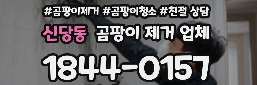 신당동 곰팡이 제거 업체
