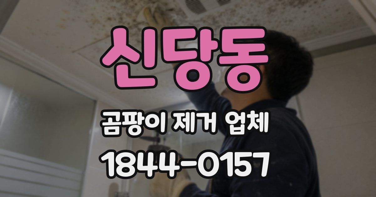 신당동 곰팡이 제거 업체
