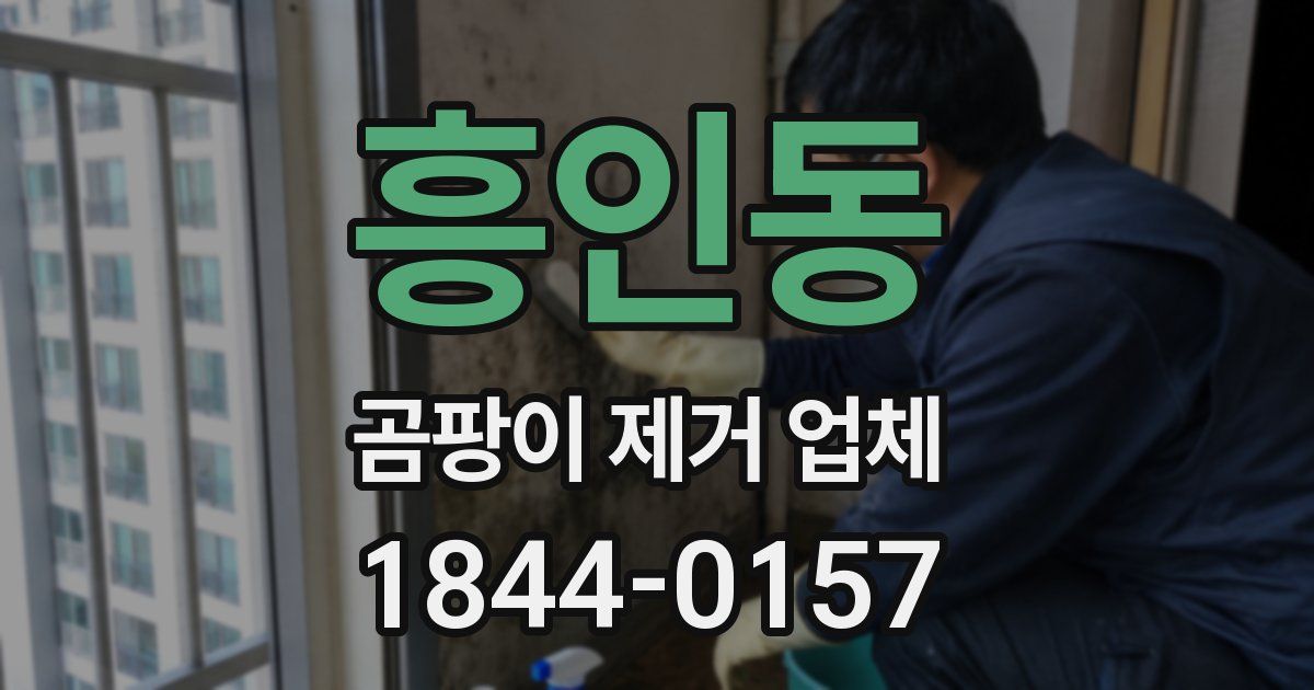 흥인동 곰팡이 제거 업체