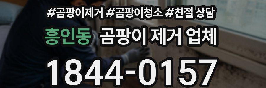 흥인동 곰팡이 제거 업체