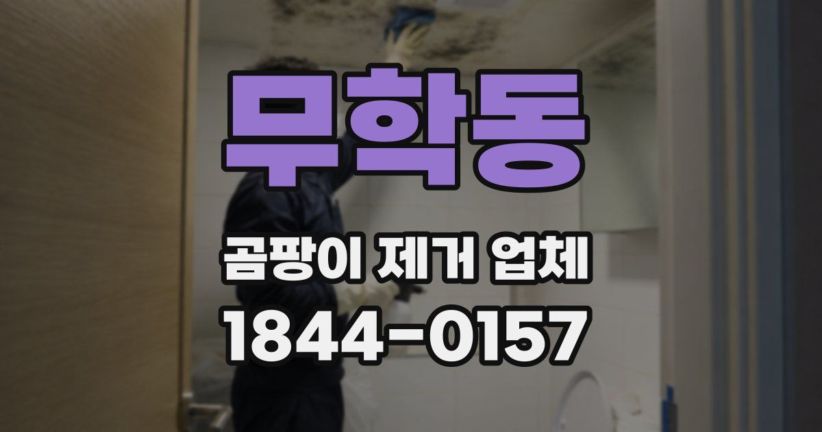 무학동 곰팡이 제거 업체
