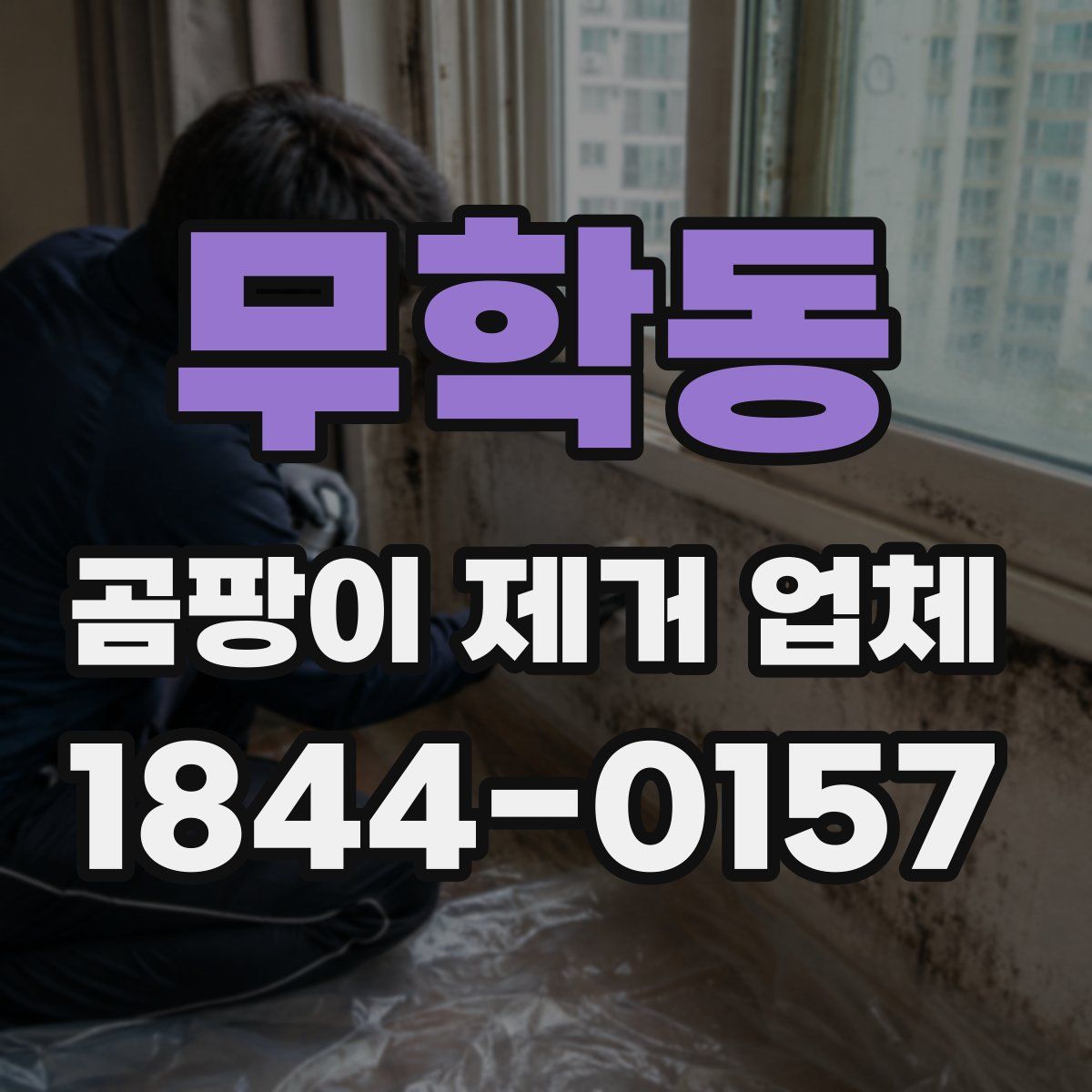 무학동 곰팡이 제거 업체