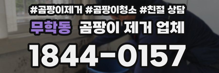 무학동 곰팡이 제거 업체