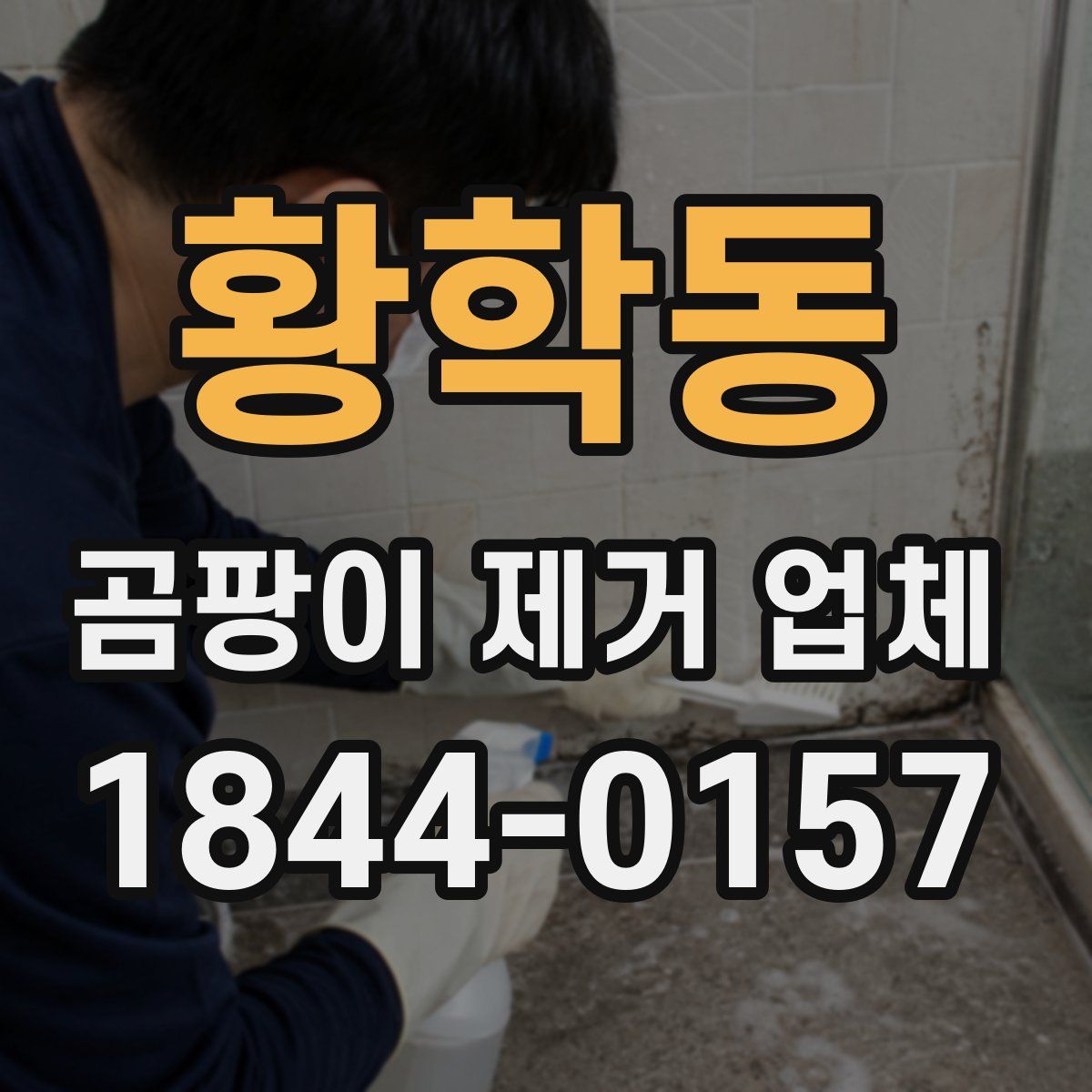 황학동 곰팡이 제거 업체