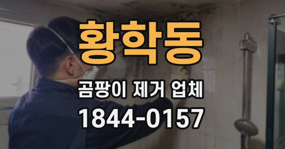 황학동 곰팡이 제거 업체