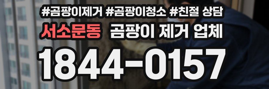 서소문동 곰팡이 제거 업체