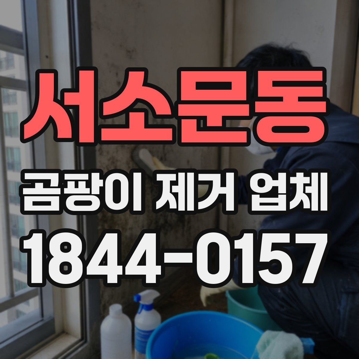 서소문동 곰팡이 제거 업체
