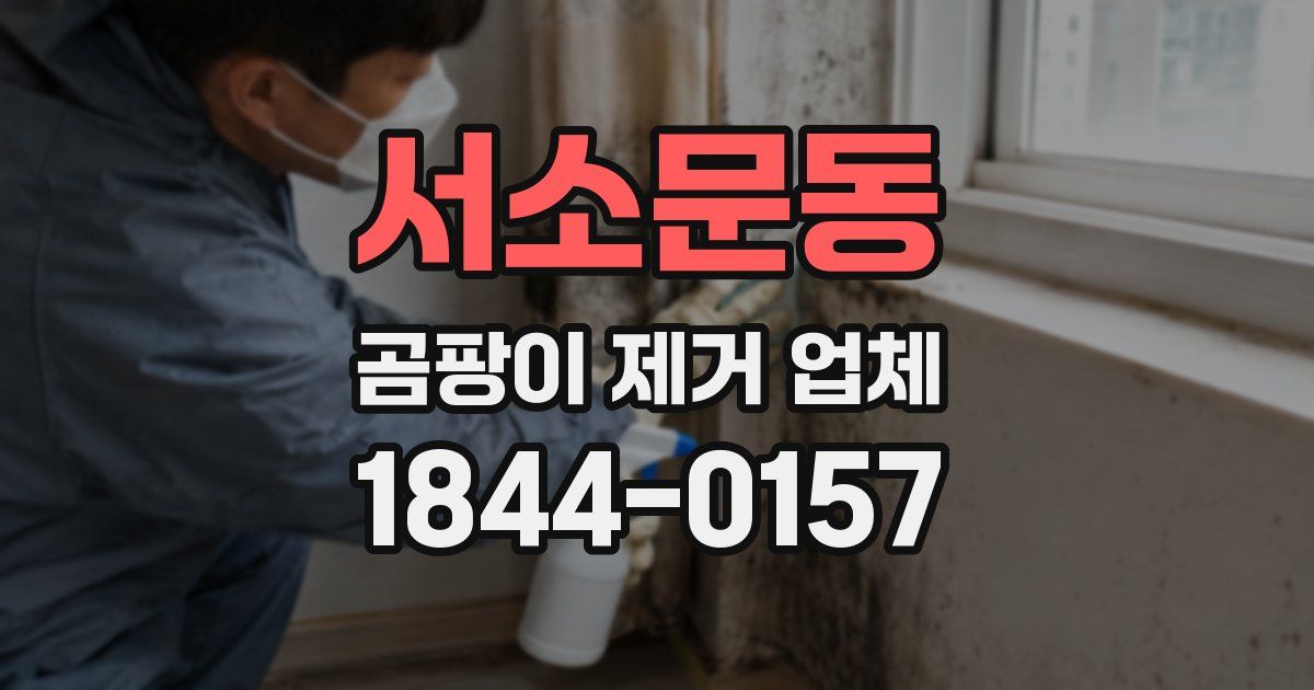 서소문동 곰팡이 제거 업체