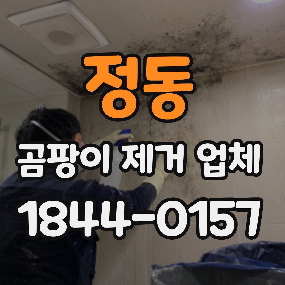 정동 곰팡이 제거 업체